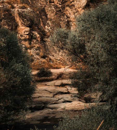 A tranquil scene showcasing rocky terrain surrounded by trees in an autumn setting.